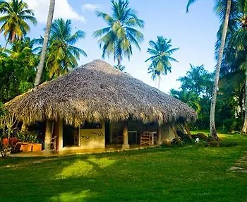 Oasis Hotel Las Terrenas Portillo