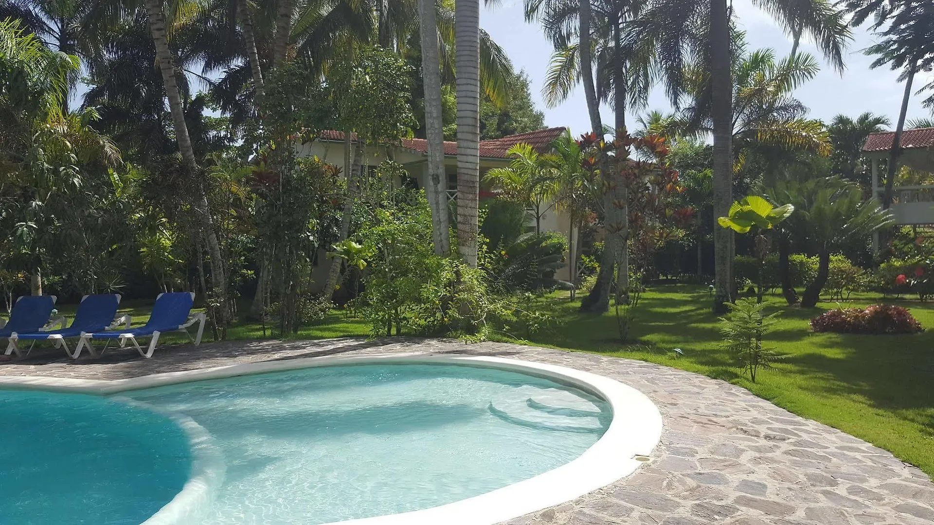 Aparthotel Oasis Hotel Las Terrenas Portillo