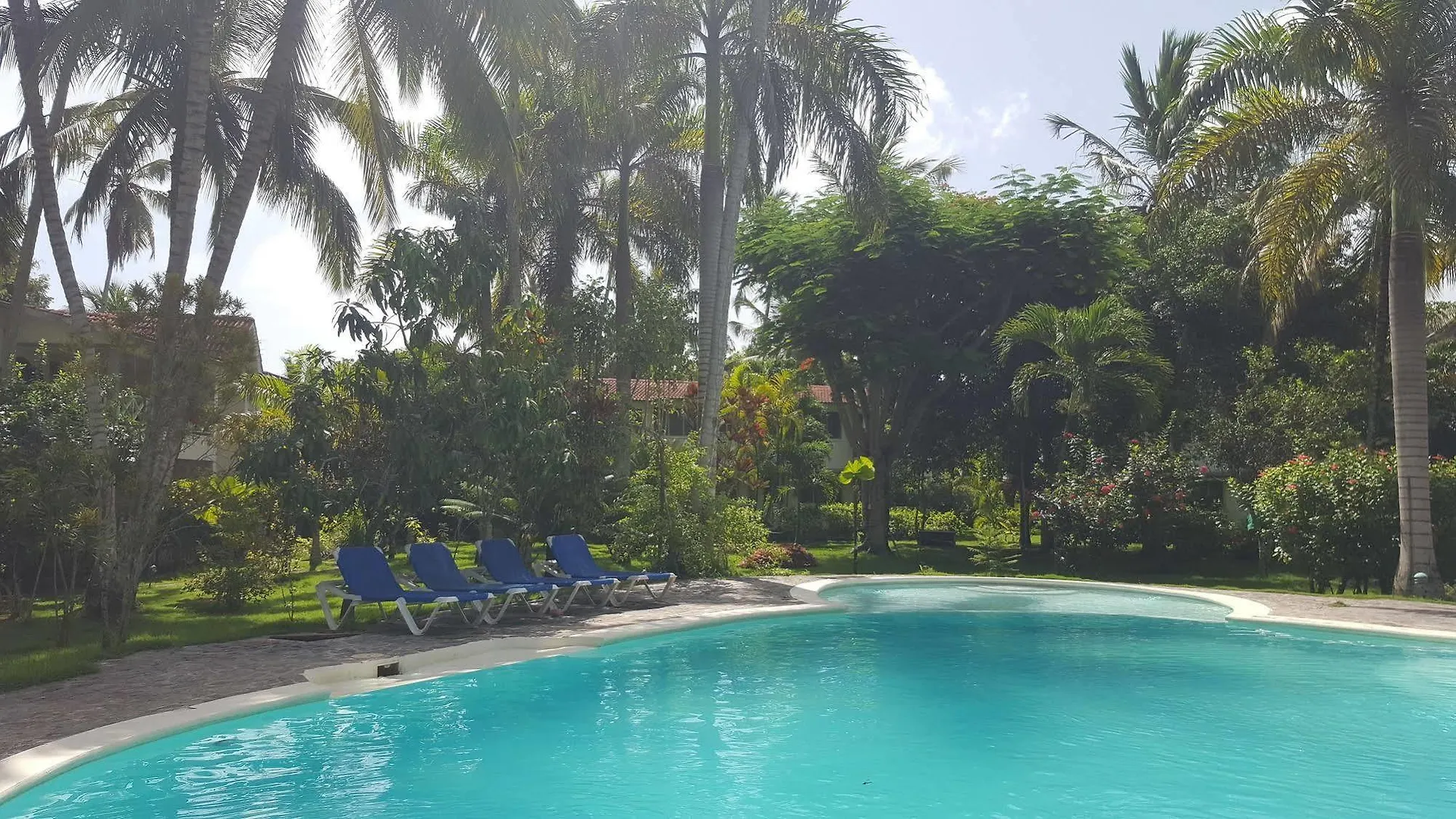 Oasis Hotel Las Terrenas Portillo