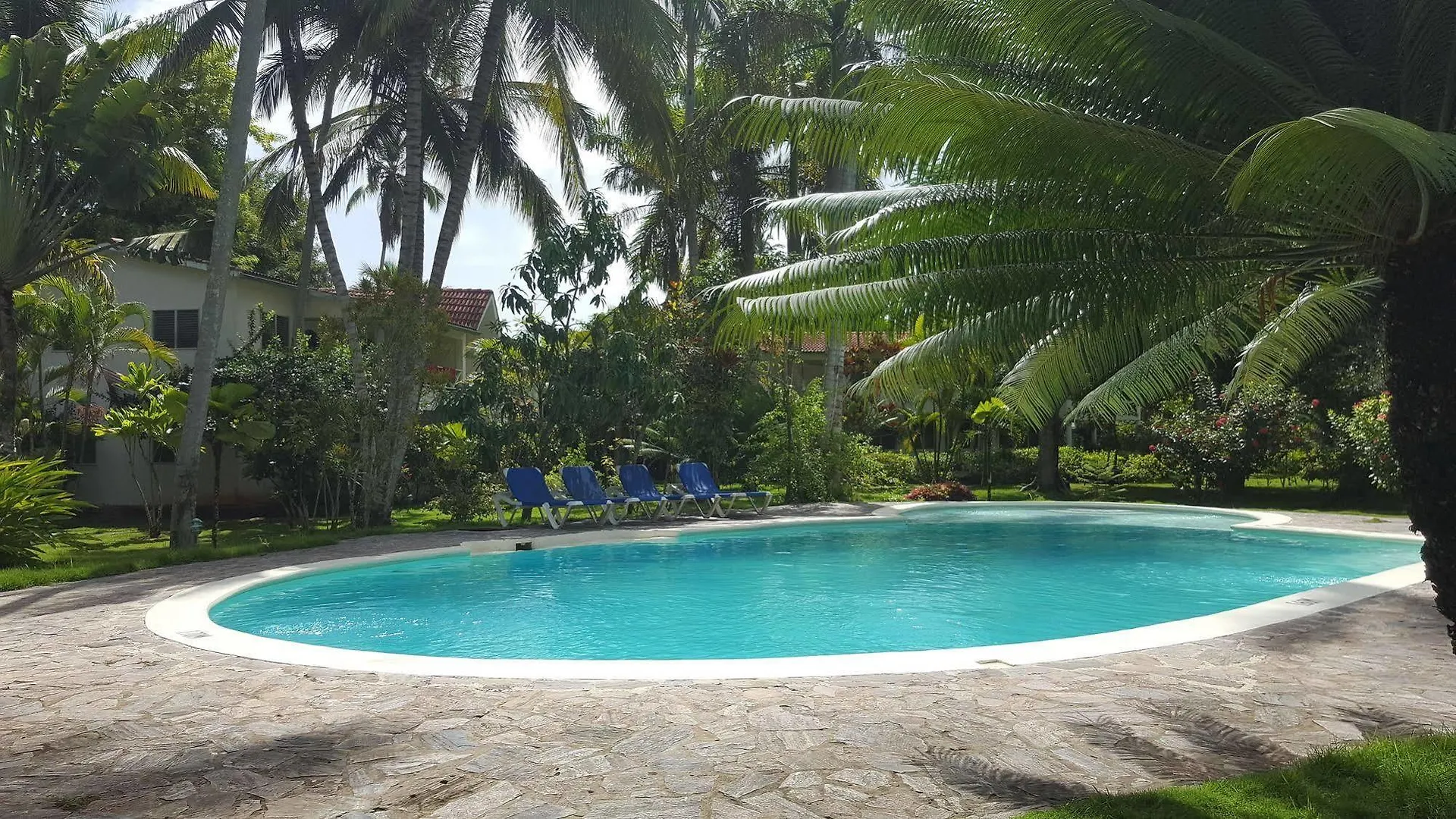 Oasis Hotel Las Terrenas Portillo Aparthotel