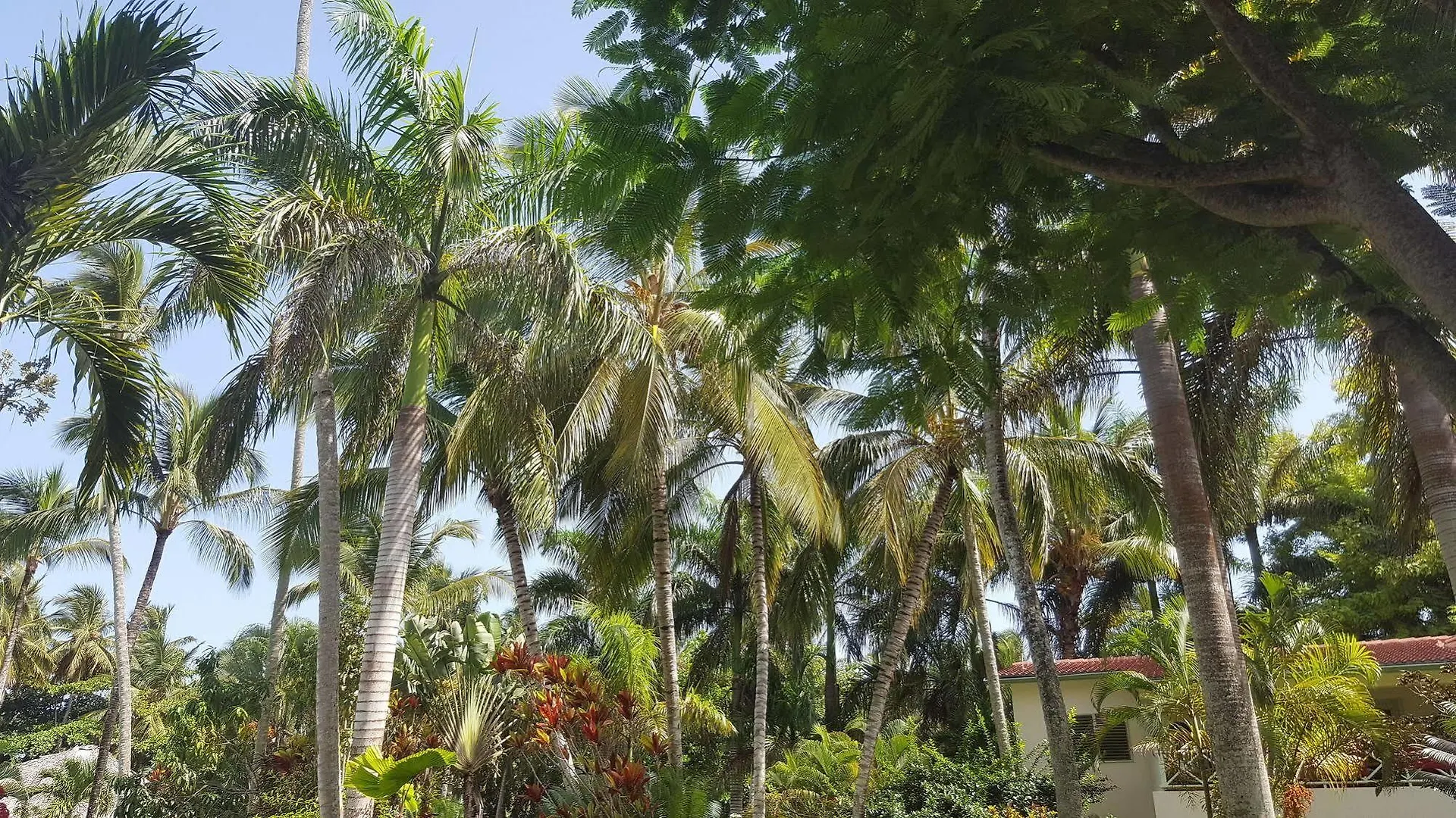 Oasis Hotel Las Terrenas Portillo Aparthotel