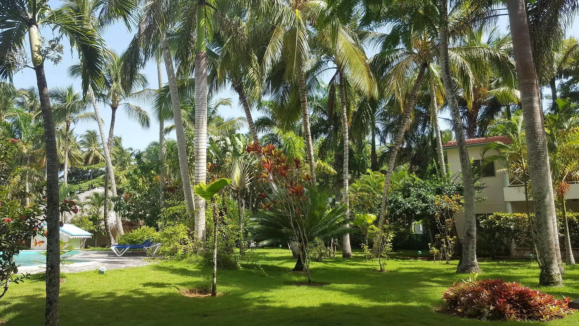 *** Aparthotel Oasis Hotel Las Terrenas Portillo Repubblica Dominicana