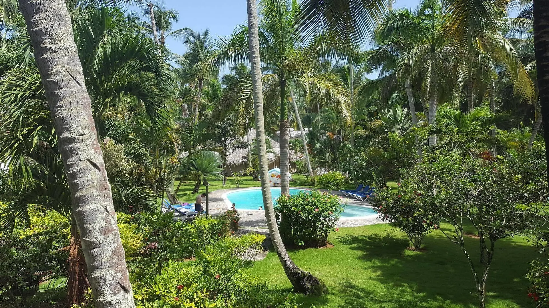 Oasis Hotel Las Terrenas Portillo